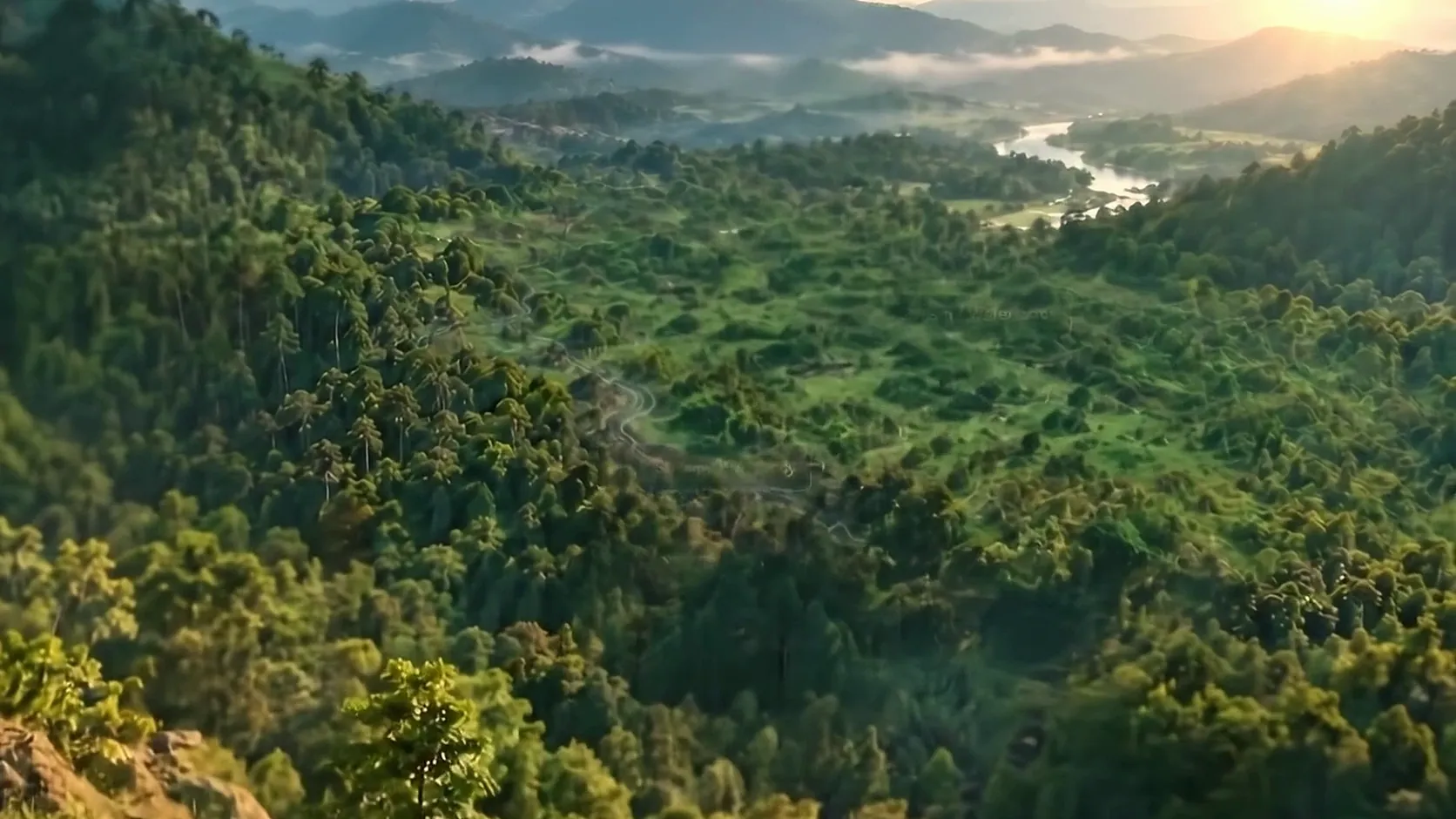 Forested valley with a river at golden hour